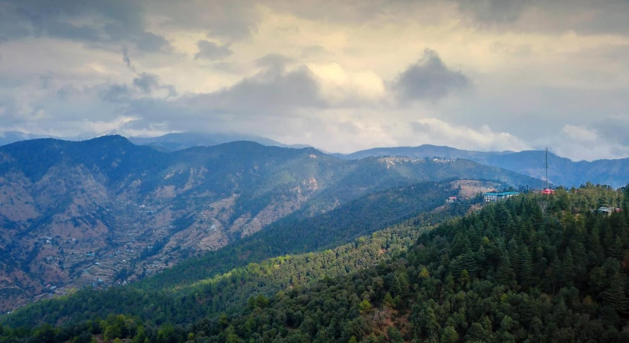 Treehouse Chail Villas Экстерьер фото