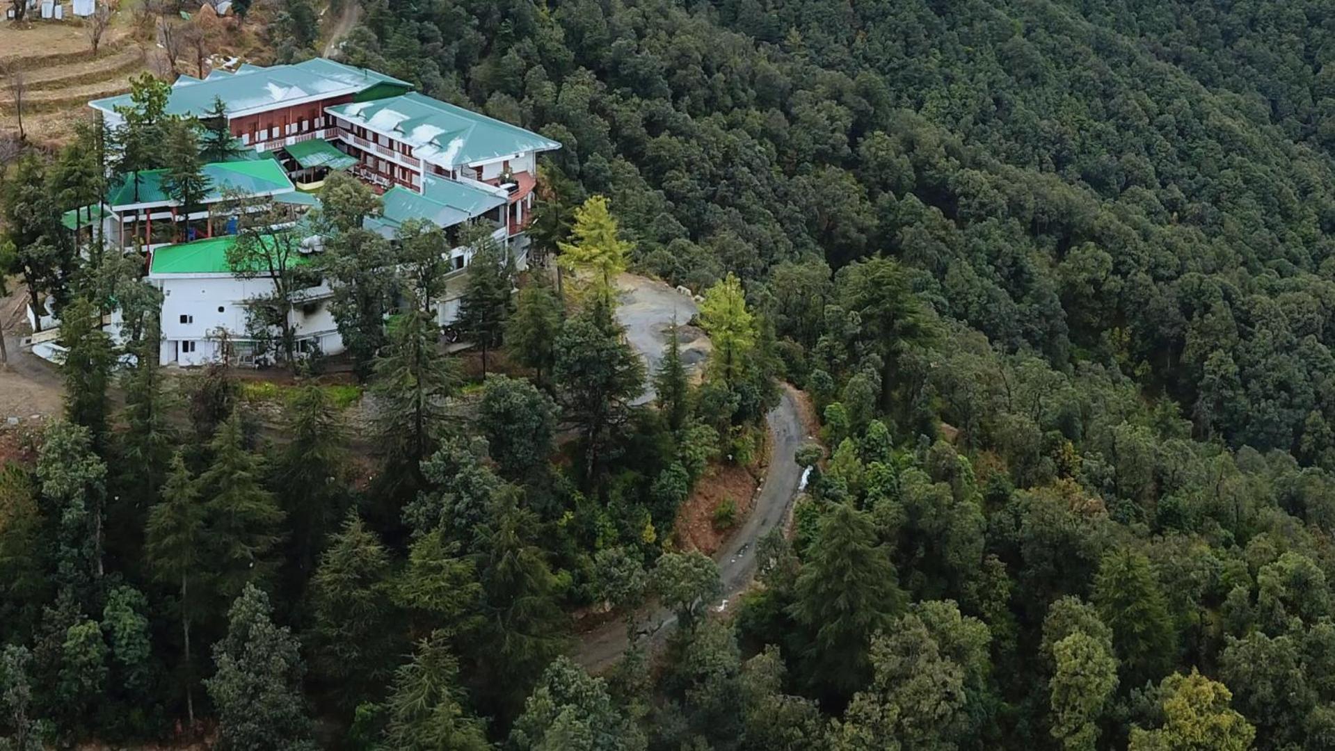 Treehouse Chail Villas Экстерьер фото